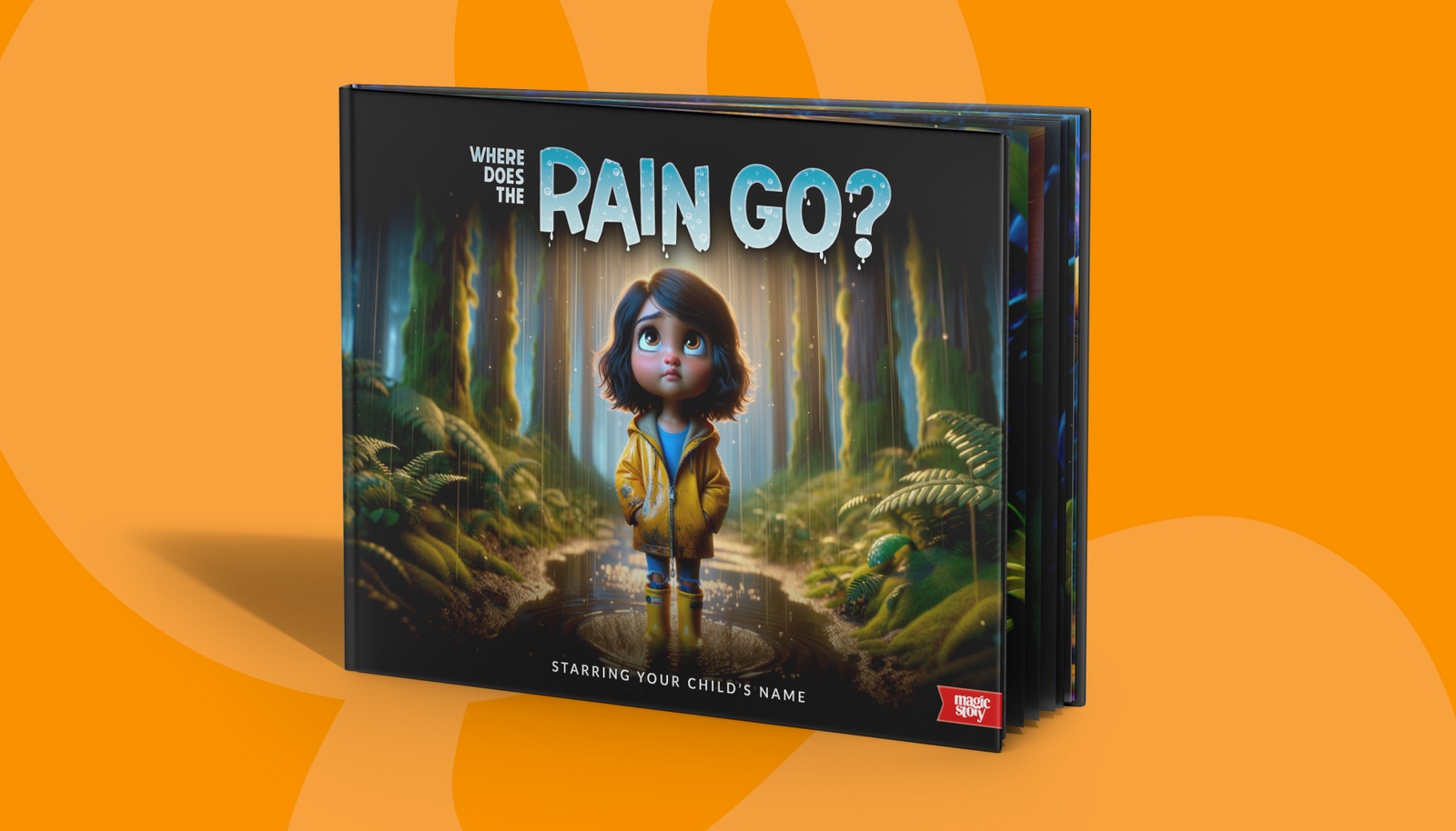 Where Does The Rain Go?